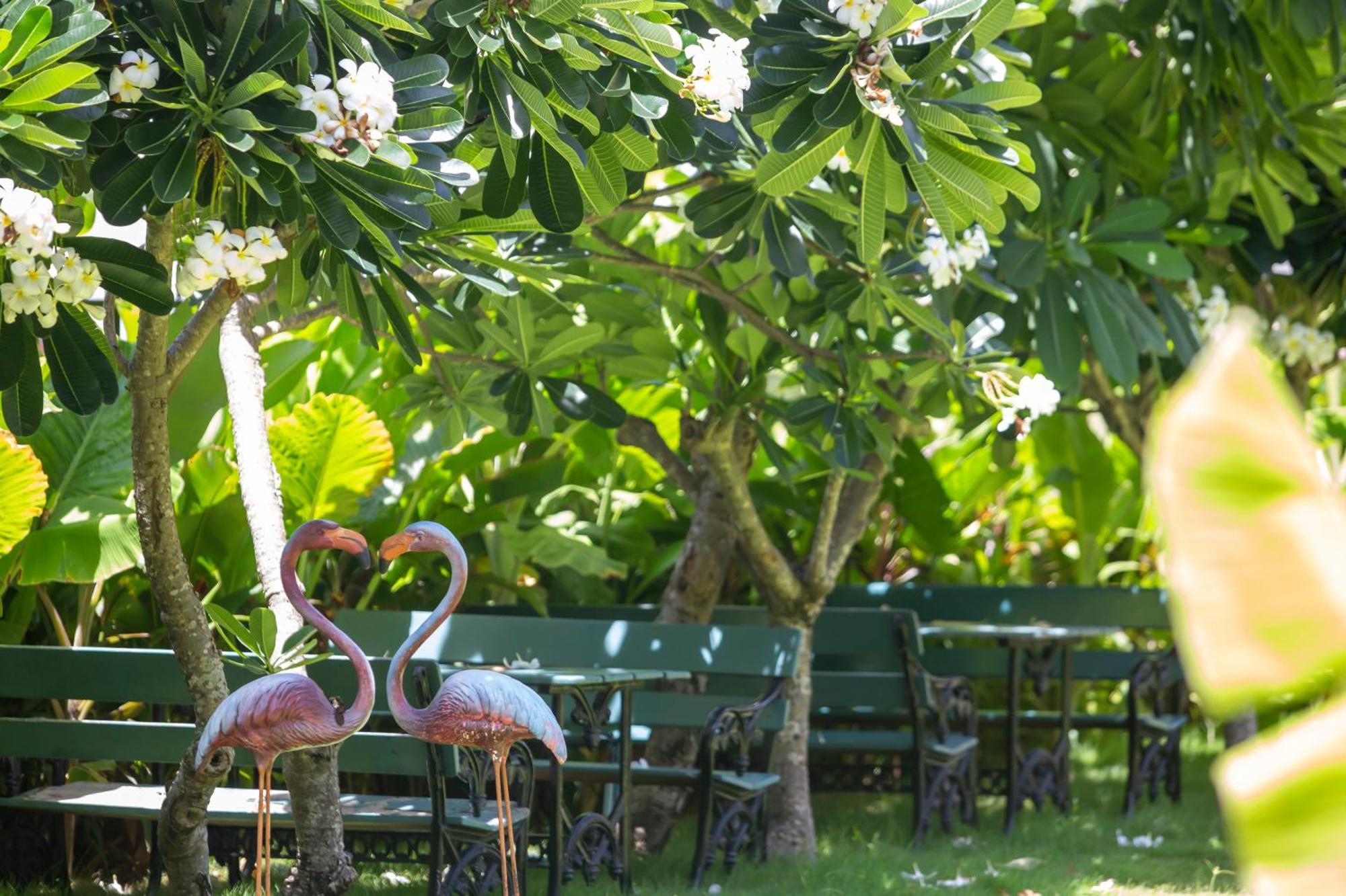 Sabai Sabana Hotel Pattaya Ngoại thất bức ảnh